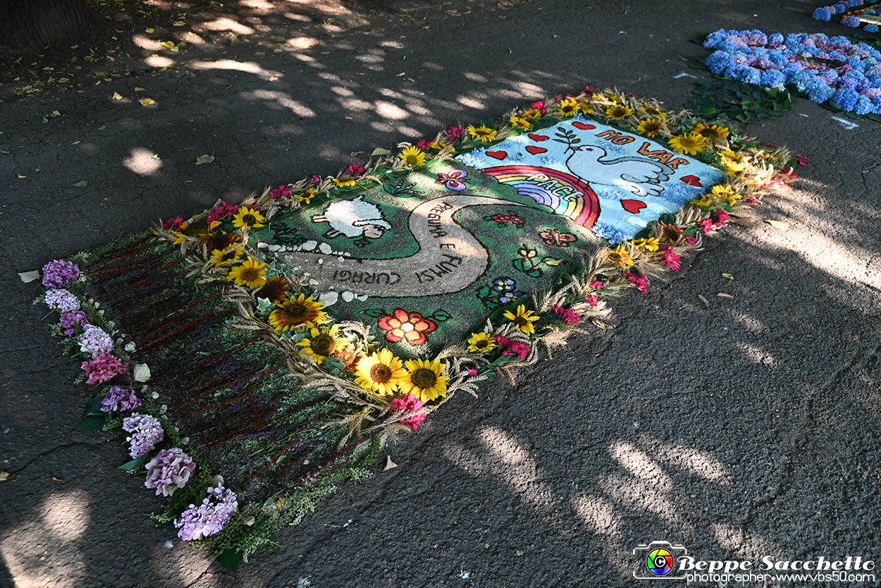 VBS_9878 - Infiorata Santuario della Madonnina di Villanova d'Asti 2024.jpg